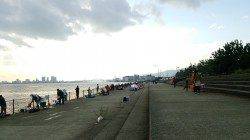 南芦屋浜でタチウオの釣果