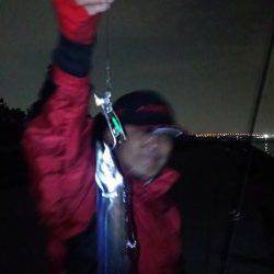 南芦屋浜でタチウオの釣果