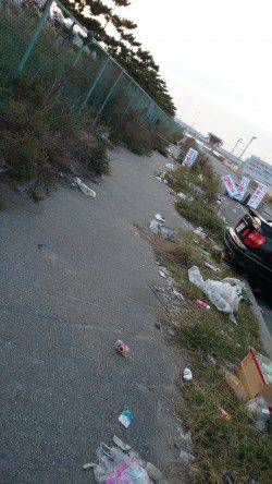 姫路ナイトワインド釣行、タチウオ2匹キャッチ