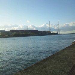 伊保港でワインド、上あごにガッチリフッキングしていました！