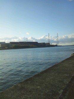 伊保港でワインド、上あごにガッチリフッキングしていました！