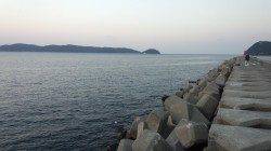 加太大波止のテトラでエギング　1時間で5ハイヽ(*´∀｀)ノ