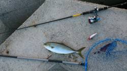 垂水漁港、 堤防から外海に向かってのルアー…