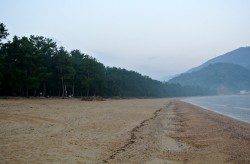 気比の松原で投げ釣り　キスの気配ない状態でした