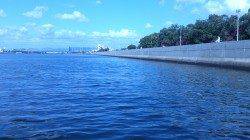 武庫川でシーバスが釣れました