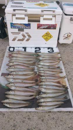 都志　投げ釣りでのキス狙い　午前は沈黙も午…