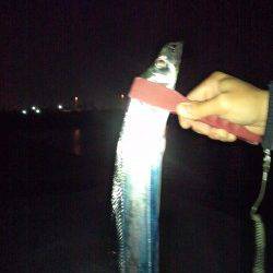 東二見、ウキ釣りでタチウオ狙い