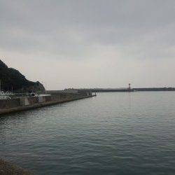 １投目からボトムでヒット！ 有田漁港でエギング