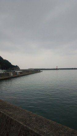 １投目からボトムでヒット！ 有田漁港でエギング