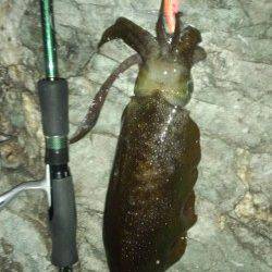 沖ノ島 地ノ島 23時からの地磯エギング 830gの良型も☆