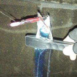 マリーナシティの内海側でタチウオ8匹の釣果☆