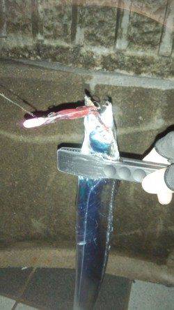 マリーナシティの内海側でタチウオ8匹の釣果☆