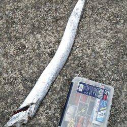 南芦屋浜 凄い人の中でのワインドでタチウオ狙い