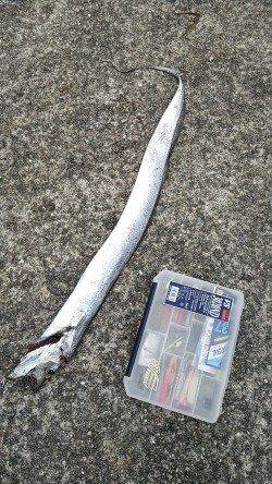 南芦屋浜 凄い人の中でのワインドでタチウオ狙い