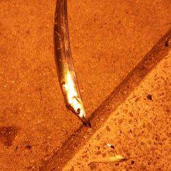 北公園の西波止にてタチウオワインド、足元できました