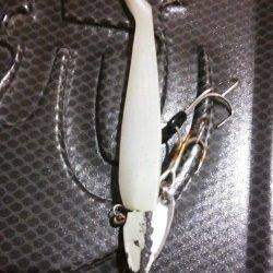 北公園の西波止にてタチウオワインド、足元できました