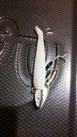 北公園の西波止にてタチウオワインド、足元できました