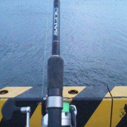 南塩谷でワインド、何とか一匹釣ることが出来ました！