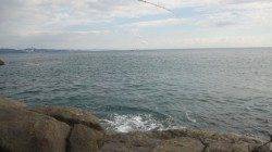 三尾の地磯でフカセ釣り　本命のグレGET！