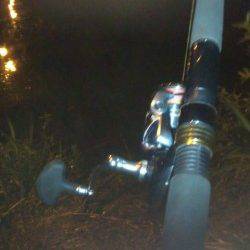 日高川シーバス　渋い中何とか一匹ゲット！