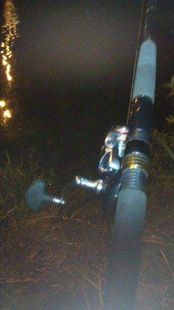 日高川シーバス　渋い中何とか一匹ゲット！