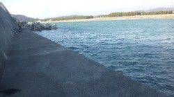 濱ノ瀬漁港でフカセ釣り【強風で苦労しました;】