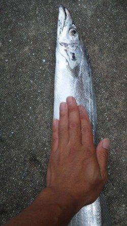 南塩谷でワインド、夜明けとともにアタリ連発！！