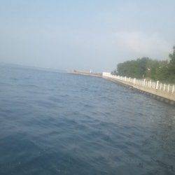 舞洲に太刀魚釣りに行ってきました