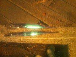 舞洲に太刀魚釣りに行ってきました