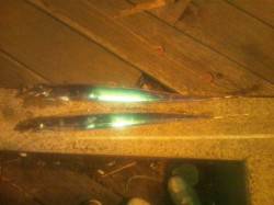 舞洲に太刀魚釣りに行ってきました