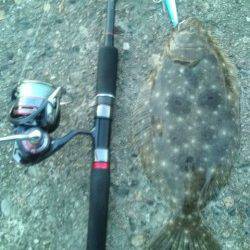 香住西港の堤防で30cmのヒラメＧＥＴ！