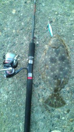 香住西港の堤防で30cmのヒラメＧＥＴ！