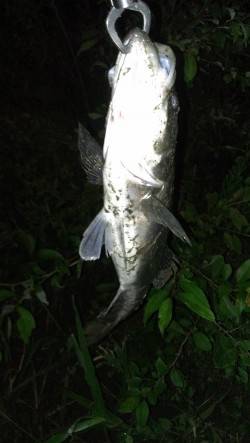 濱ノ瀬漁港　潮止まりからのシーバス狙いはド…