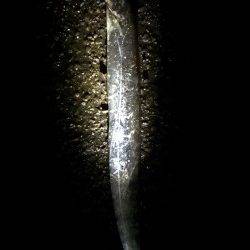 兵庫突堤ルアーでタチウオ、指4本95㌢のいいサイズでした