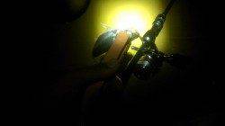 長田漁港でアジング　フォールよりステイへのノリが◎