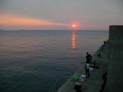 田ノ浦漁港でのカゴ釣り釣果