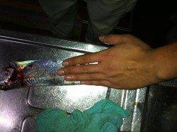 ワームのカラーチェンジでタチウオヒット