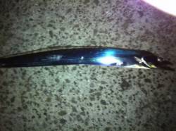 高速シャクリでゲット！ りんくうでタチウオ…