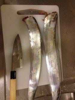 西宮浜　ウキ釣りからワインドに変更でタチウオ2本！