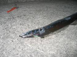 田尻漁港でワインド、指4本分を上げることが…