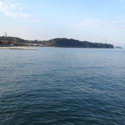 みさき公園裏でエギング　何とかアオリ1パイ　