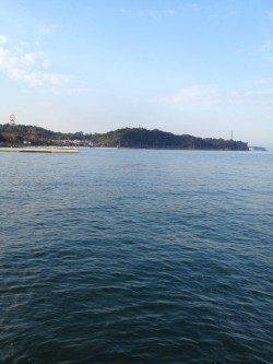 みさき公園裏でエギング　何とかアオリ1パイ　