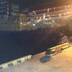 北公園で午後１０時から０時過ぎまでのアジング釣行