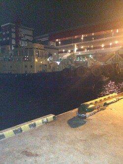 北公園で午後１０時から０時過ぎまでのアジング釣行