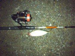 舞洲でアジング、開始早々ワンキャストワンヒット