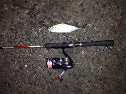 舞洲でアジング、忍耐の釣りでした