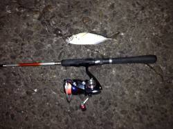 舞洲でアジング、忍耐の釣りでした