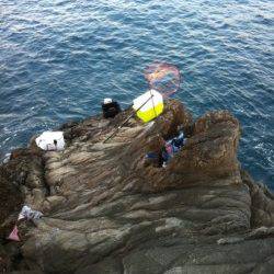 田並の磯でグレ・シマアジ・アオリイカ