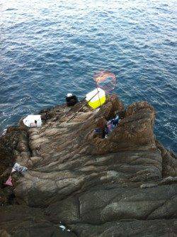 田並の磯でグレ・シマアジ・アオリイカ