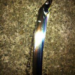 りんくうでタチウオワインド　2バラシ1匹ゲット